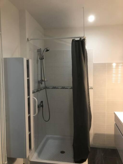 In Grey Apartment Agen
